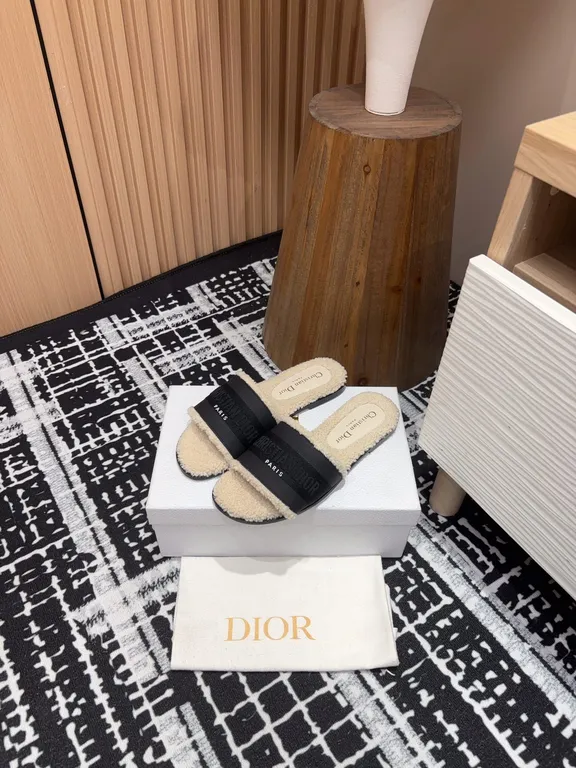 Dior Shoe 